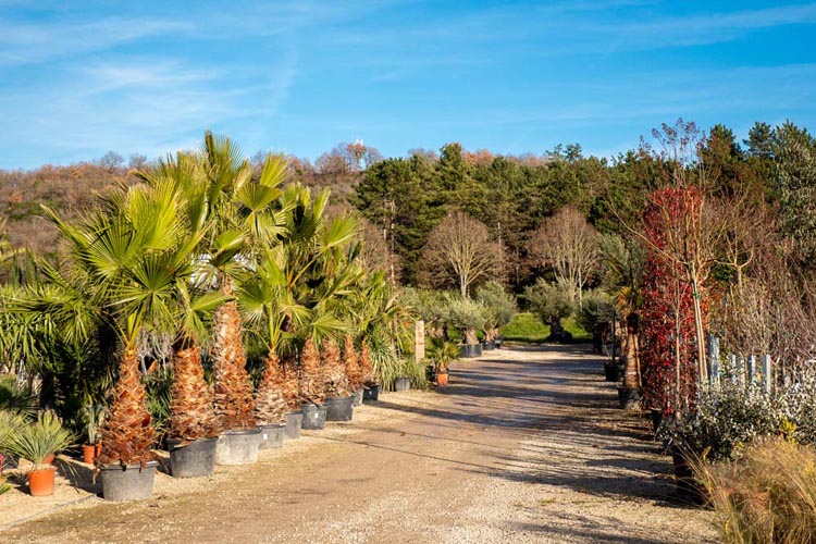 Aménagement de jardin Grisolles